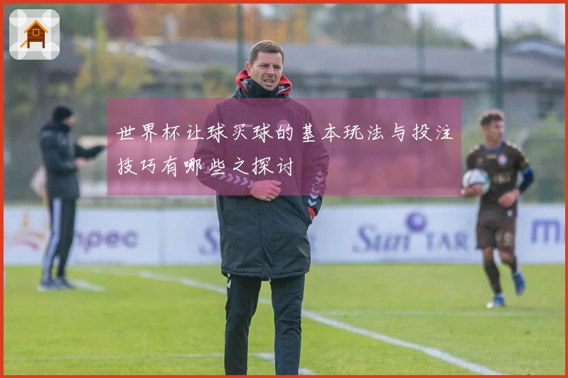 世界杯让球买球的基本玩法与投注技巧有哪些之探讨