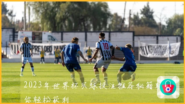 2023年世界杯买球投注推荐秘籍助你轻松获利