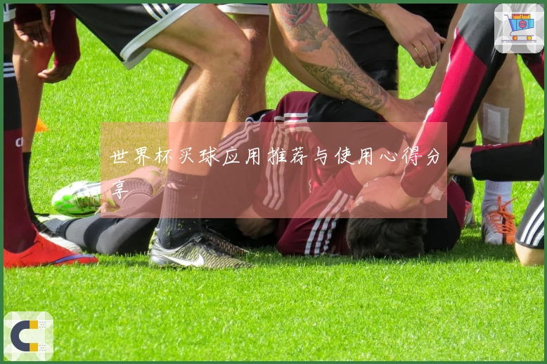 世界杯买球应用推荐与使用心得分享