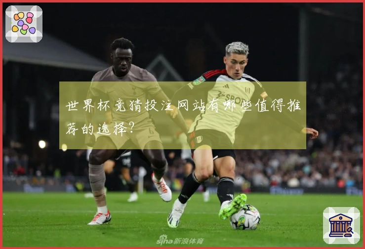世界杯竞猜投注网站有哪些值得推荐的选择？
