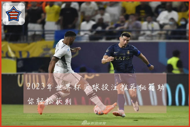 2023年世界杯买球投注推荐秘籍助你轻松获利